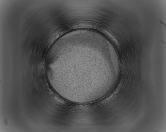 X0000096950937200802291053