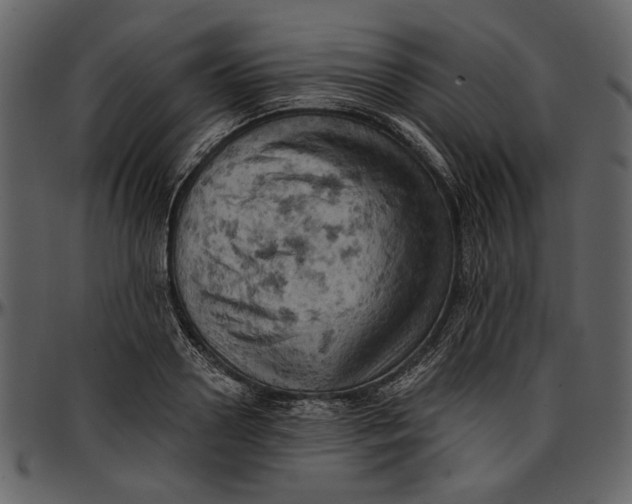 X0000096950938200802291053