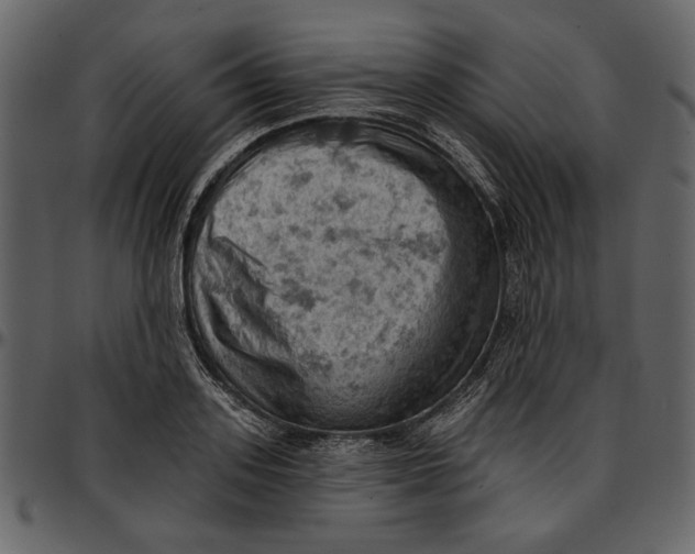 X0000096950939200802291053