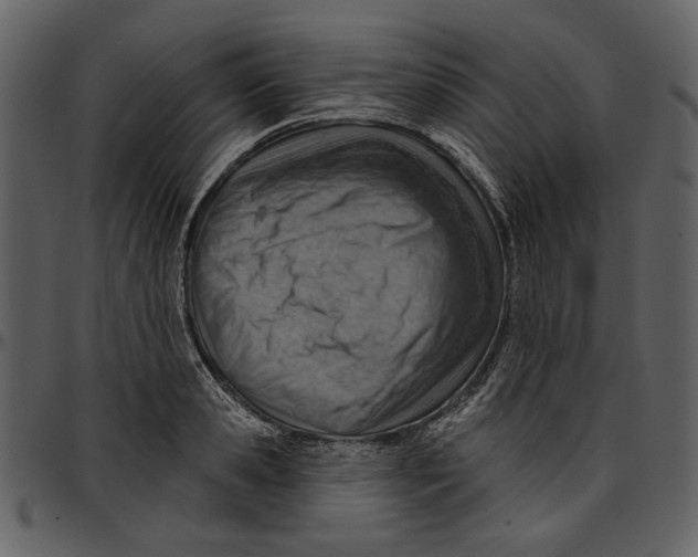 X0000096950941200802291053