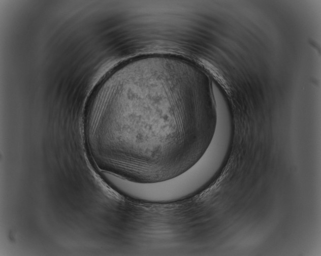 X0000096950942200802291053