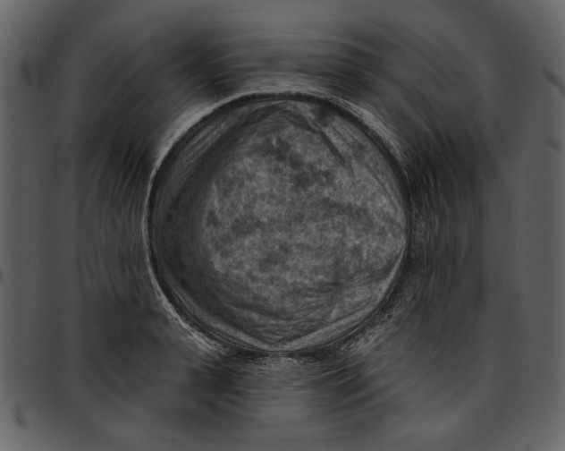 X0000096950943200802291053