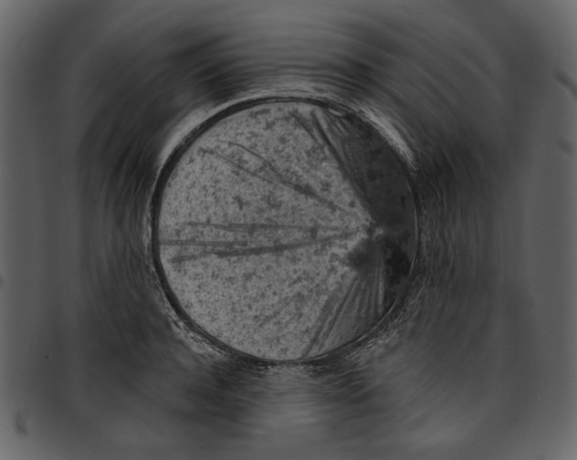 X0000096950944200802291053