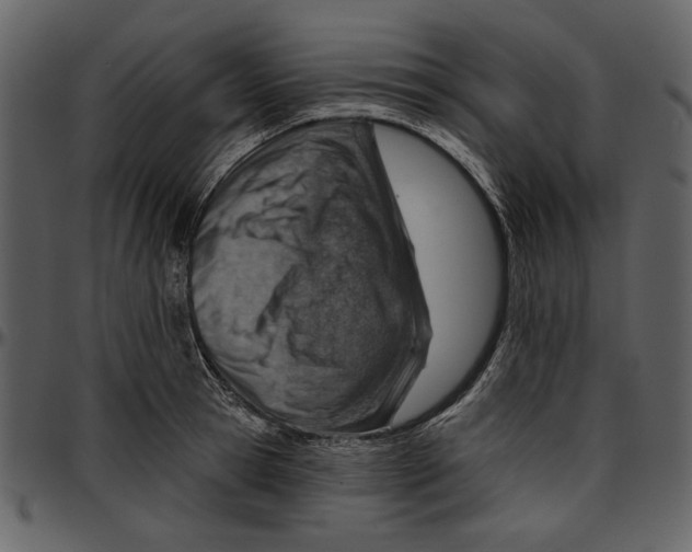 X0000096950945200802291053