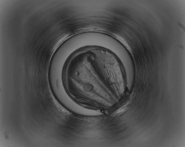 X0000096950946200802291053