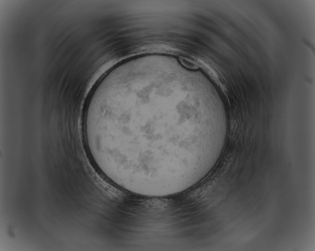 X0000096950947200802291053