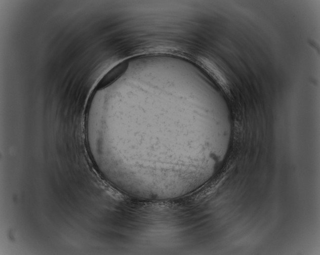 X0000096950948200802291053