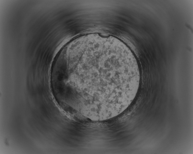 X0000096950949200802291053