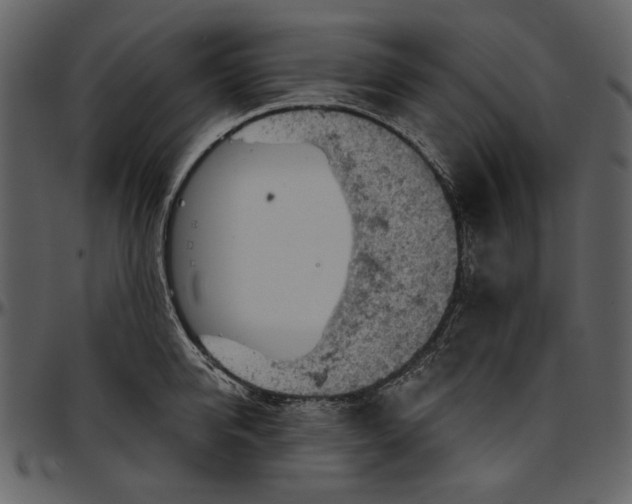 X0000096950950200802291053