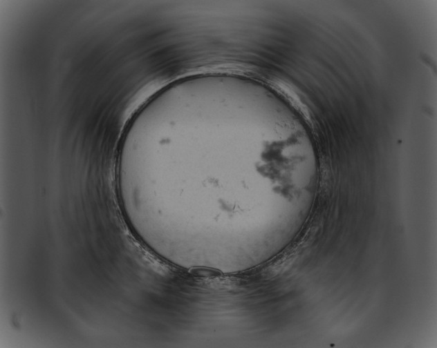 X0000096950952200802291053