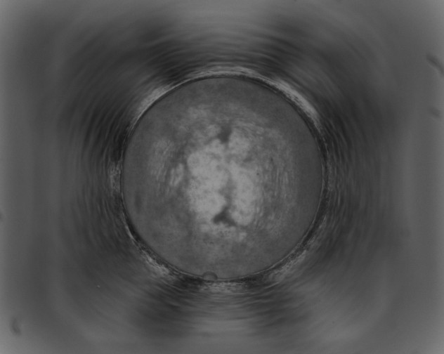 X0000096950953200802291053