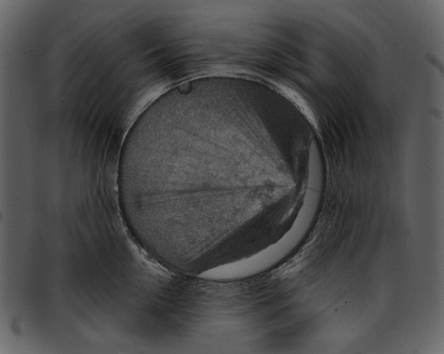 X0000096950954200802291053