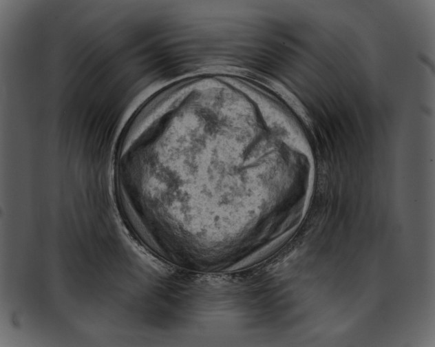 X0000096950955200802291053