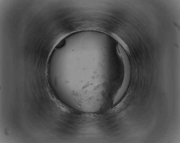 X0000096950956200802291053