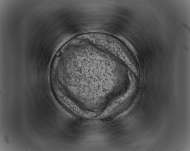 X0000096950957200802291053