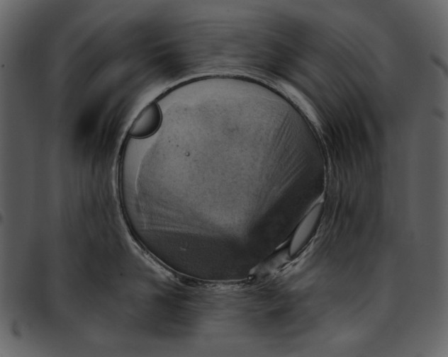 X0000096950958200802291053