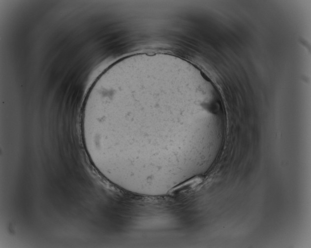 X0000096950960200802291053