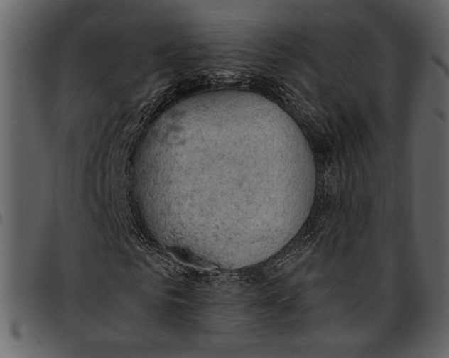 X0000096950961200802291052