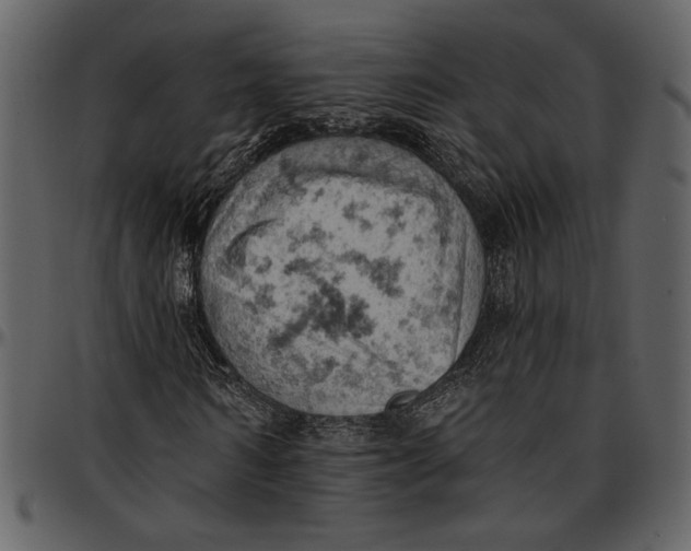 X0000096950962200802291052