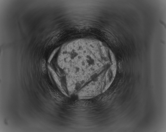 X0000096950963200802291052