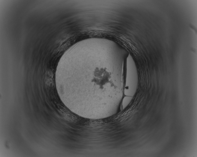 X0000096950964200802291052