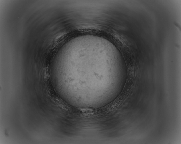 X0000096950965200802291052