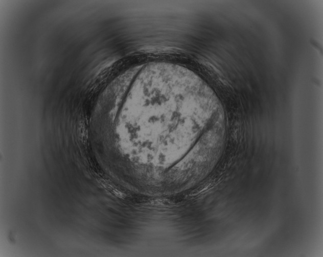 X0000096950966200802291052