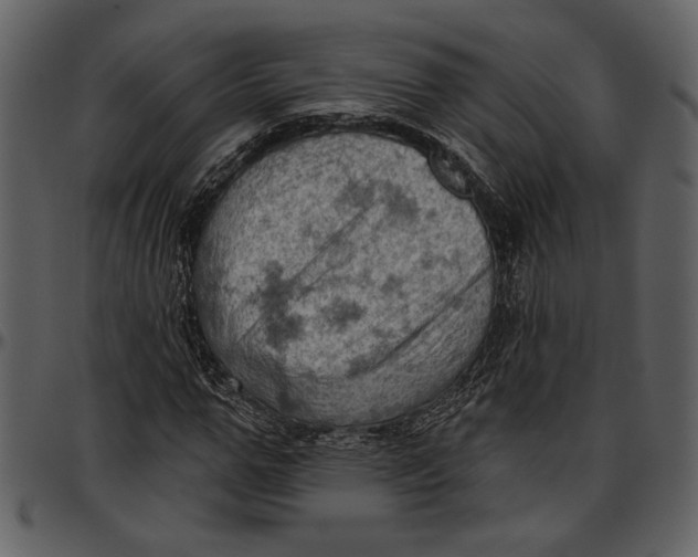 X0000096950967200802291052