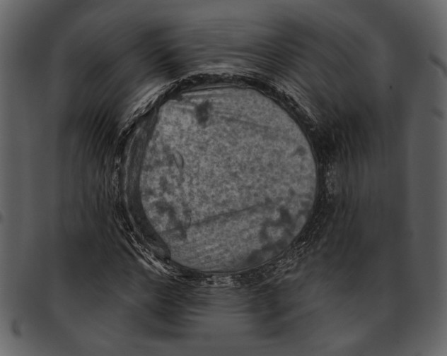 X0000096950968200802291052