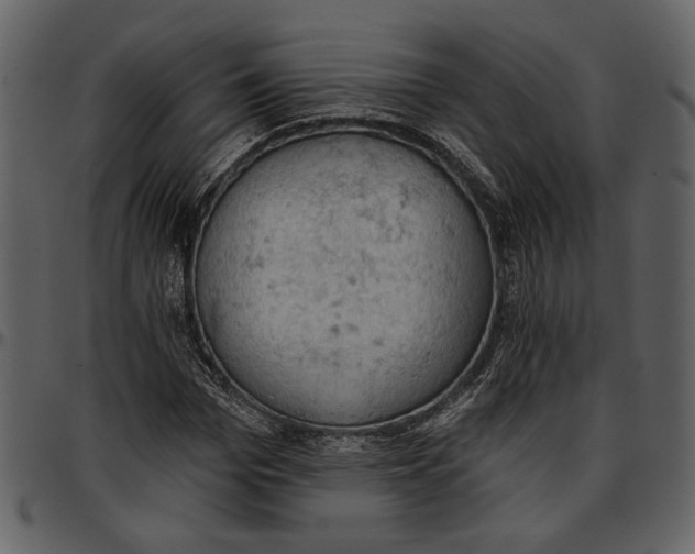 X0000096950969200802291052