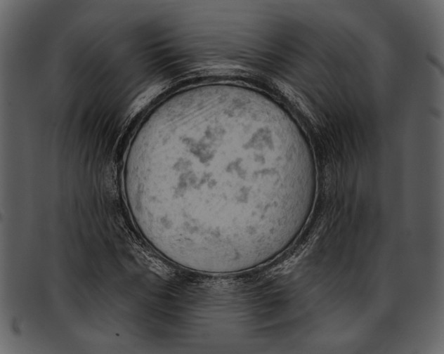 X0000096950970200802291052