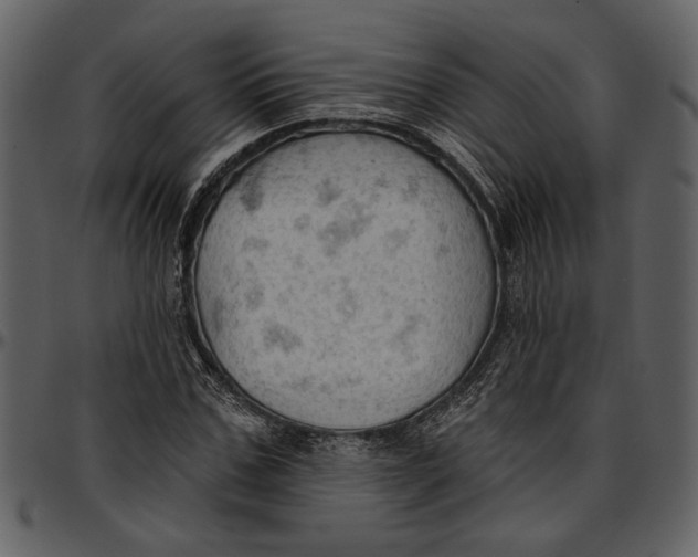 X0000096950971200802291052