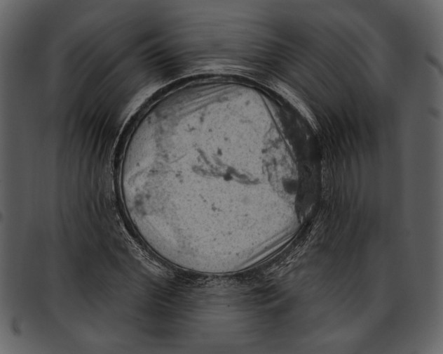 X0000096950972200802291052