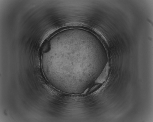 X0000096950973200802291052