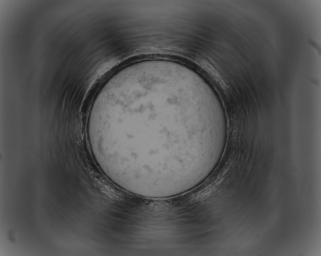 X0000096950974200802291052