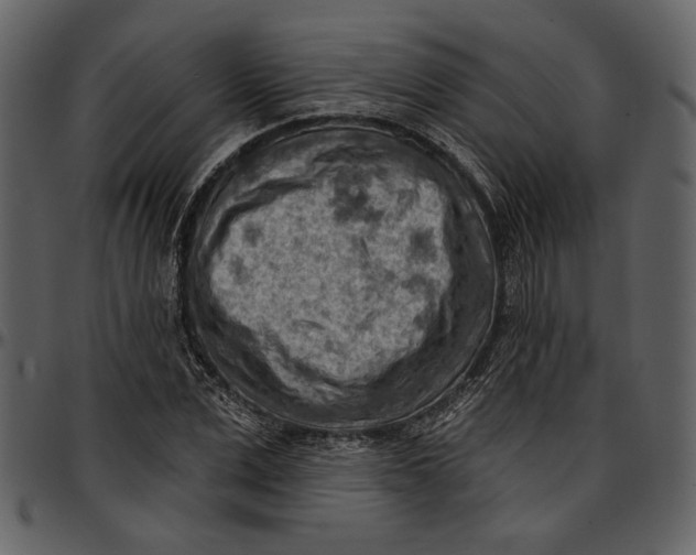 X0000096950975200802291052