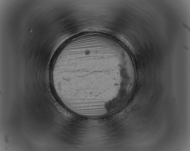 X0000096950976200802291052