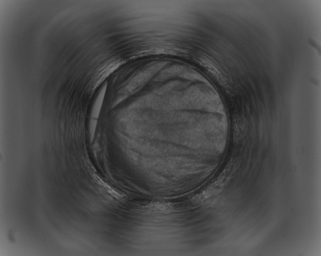 X0000096950977200802291052