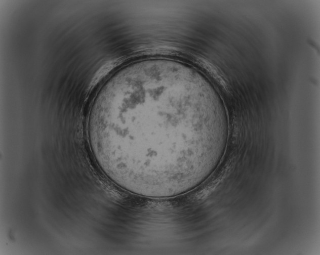 X0000096950978200802291052