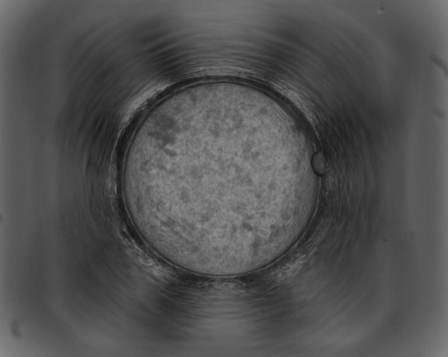 X0000096950979200802291052