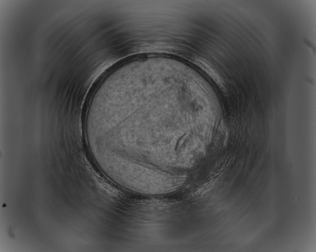 X0000096950980200802291052