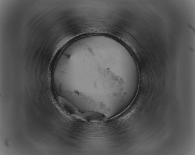 X0000096950981200802291052