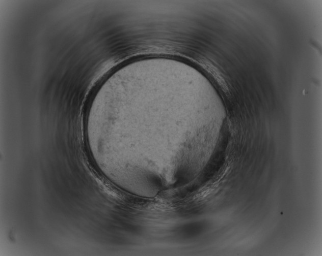 X0000096950982200802291052