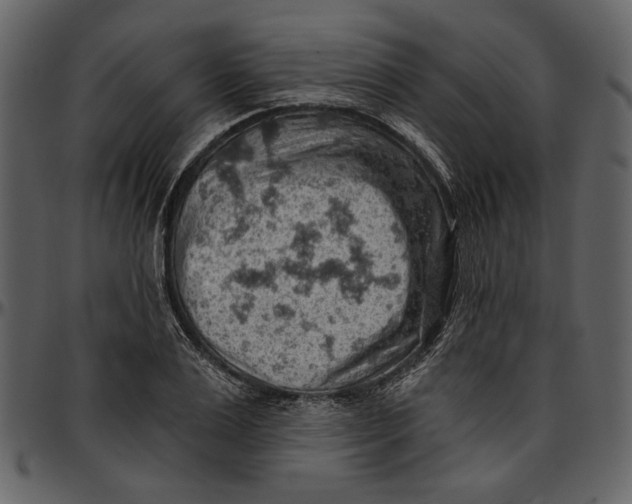 X0000096950983200802291052