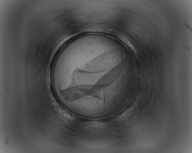 X0000096950984200802291052