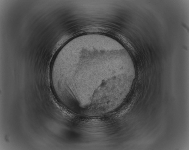 X0000096950986200802291052