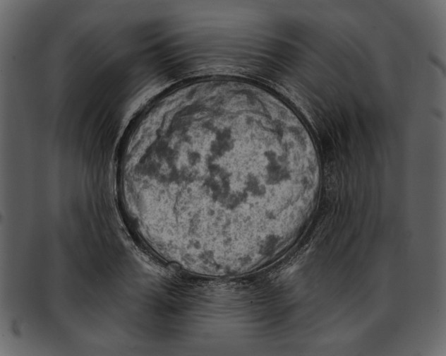 X0000096950987200802291052