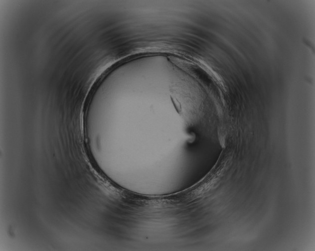 X0000096950988200802291052