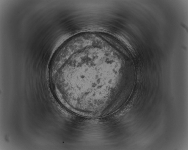 X0000096950990200802291052