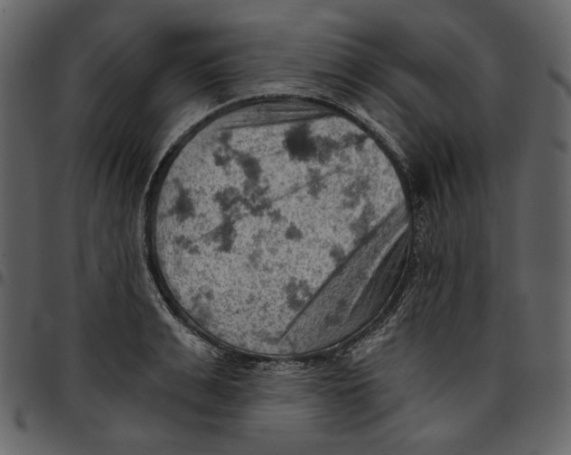 X0000096950991200802291052